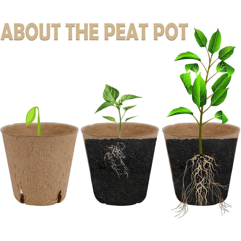 Seedling Pots 45 Pieces Germination Gardening Container Round Plant Seedling Pots For Yard Backyard Balcony Flowers Vegetables