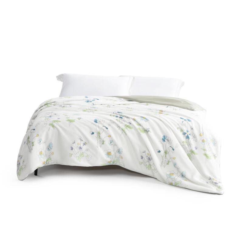 Mercury Home Textiles Huazhao Banxia Lyocell Tussah Silk Summer Quilt