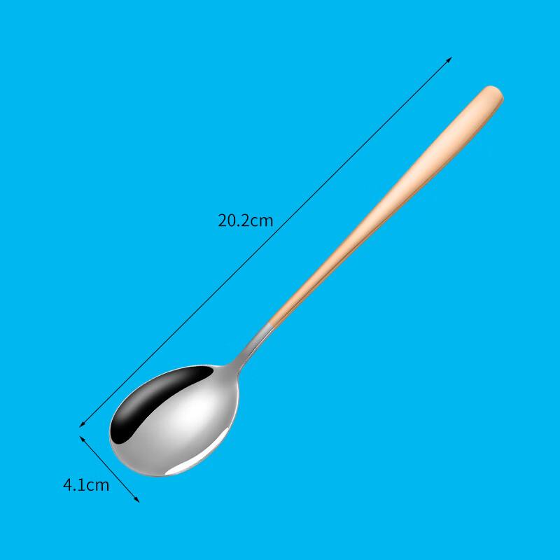 Stainless Steel Long Handle Spoons