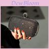 Pochette de soirée mode ornée de perles avec fermeture à fermoir pour événements formels