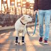 Dark Blue Dog Leg Warmers Soft Knitted Joint Protectors 12Pcs