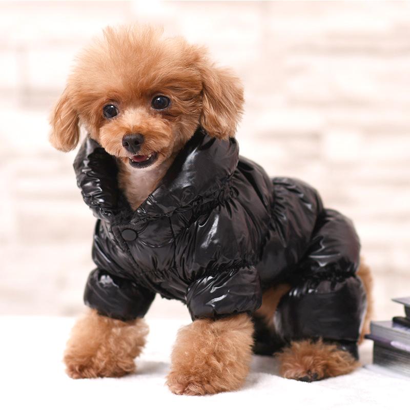 2025 Luxury Cute Xs-xxl Windproof Winter Warm and Soft Customized Dog Accessories Pet Clothes Small Dog Clothes for Puppy