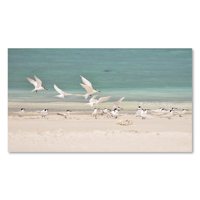 Beach Rocky Waves Dolphin Wall Art Canvas Painting Nordic Ocean Posters And Prints Pictures For Living Room Decoraction