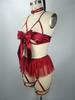 European & American Lace Mesh Temptation Lingerie Set for Women