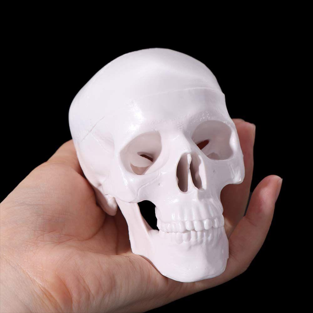 92x99x71mm Removable Skull Model Convenient Studying Human Head Model Resin Mini Anatomical Head Skull School Supplies