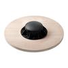 4physio Balancing Disc