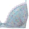 AMOSTYLE BY Triumph Entry Collection Bra Panty Set Floral M007 B70 Push-Up & (Ditzy Print) Women's (Blue)