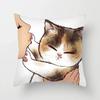 Funny Love Kiss Cute Cat Cushion Cover Cartoon Creative Naughty Cat Pillow Case Cover Home Textile Cat Pillow Covers Pillowcase