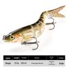 9-Section Bionic Loach Soft Bait Set: Long Cast, Slow Sinking, 10cm/10g, Realistic Fishing Lure