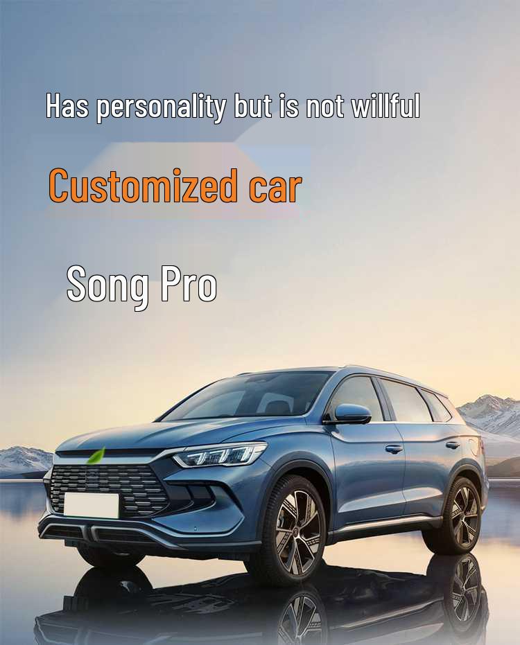 BYD Song Pro Special Seat Cushion: Universal Four-Season Full Coverage Seat Cover