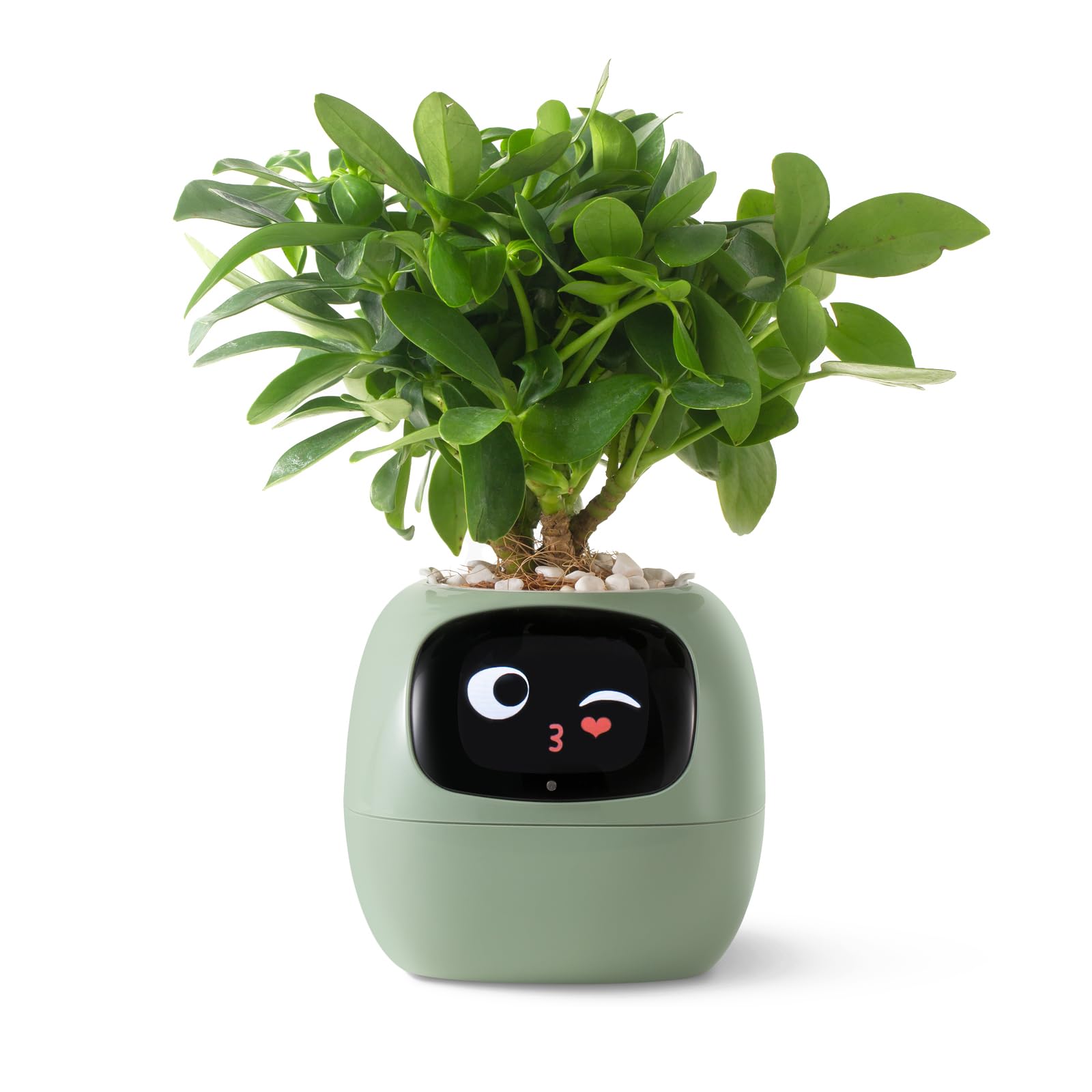 

PLANTSIO Smart Pet Planter Robot with Plant Care Rich Gestural Adorable Plant Neat Desk Setup Gift Emoji, Guidance, Interactions, Companion, (Green) зелёный