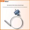 High-Temp Explosion-Proof Submersible Liquid Level Transmitter with Anti-Corrosion Diesel Fuel Gauge and Armored Stainless Steel.