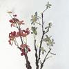Rami di Albero Artificiale Flessibili da 31 Pollici, Rampicanti Finti Realistici, Ramoscelli con Fiori e Bacche per Vaso, Decorazione Fai-da-te per Casa, Ufficio, Matrimonio, Festa