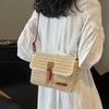Nuova Borsa da Donna alla Moda in Paglia, Borsa a Spalla/Crossbody Casual Trendy per le Vacanze, Borsa da Donna Versatile Elegante in Paglia