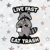 Trash Panda Enamel Pins Cartoon Raccoon Live Fast Eat Trash Brooches Lapel Badges Funny Animal Jewelry Gift for Kids Friends
