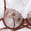 Selection Embroidered Sexy Bra Women's Delicate Mesh Bra Comfortable Cotton Crotch Hollow Temptation Thong Set