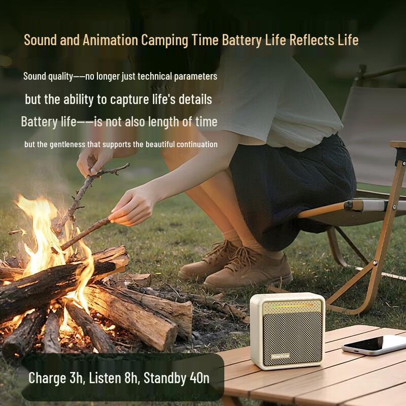 Newmine BT13 Hi-Res Portable Bluetooth Speaker CN plug (adapter included)