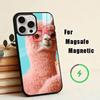 D-Cute Alpaca   Phone Case For iPhone17,16,15,14,13,12,11 Plus,Pro Magnetic For Magsafe Wireless Charging