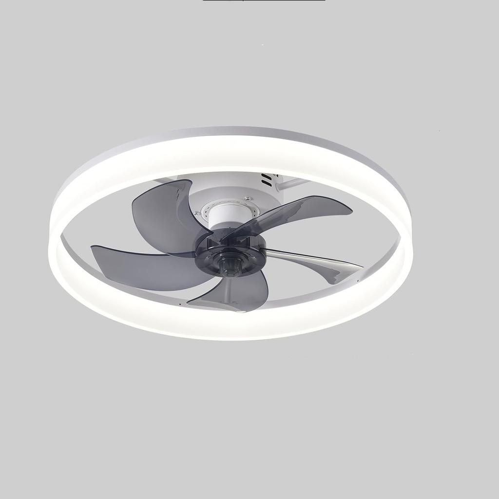 LED Ceiling Fans with Lights and Remote Modern Low Profile Chandelier Fan for Bedroom Kids Room Living Room Ceiling Lighting Fan