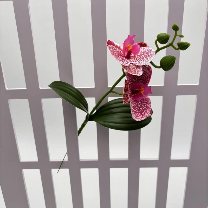 

Phalaenopsis Is Used To Decorate The Bedroom of A Homestay with Artificial Flowers and Green Plants with Leaves Wen Zi