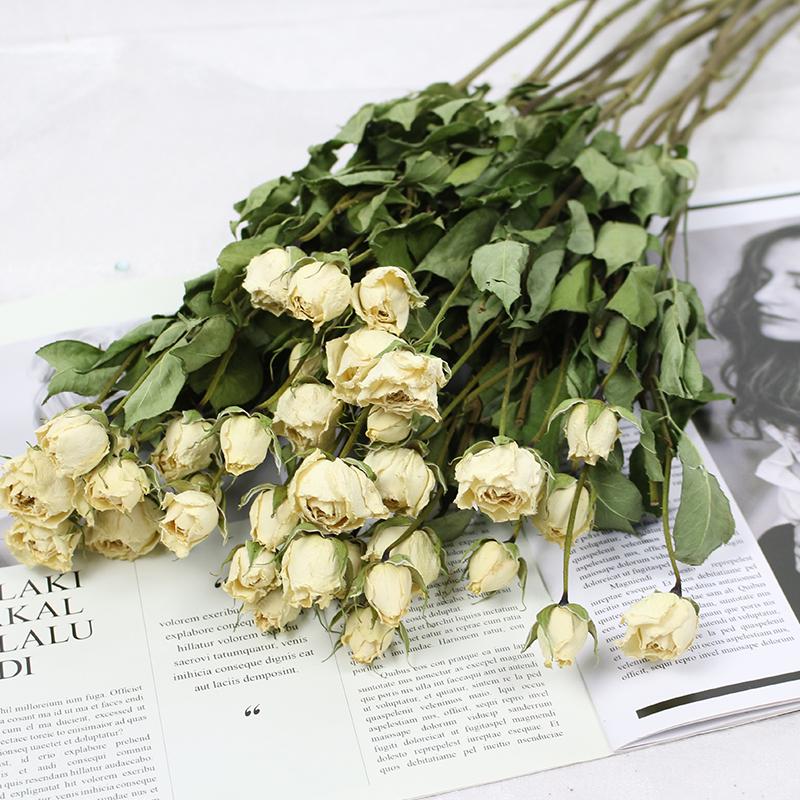 Small Dried Rose Buds for DIY Flower Arrangements and Home Decor