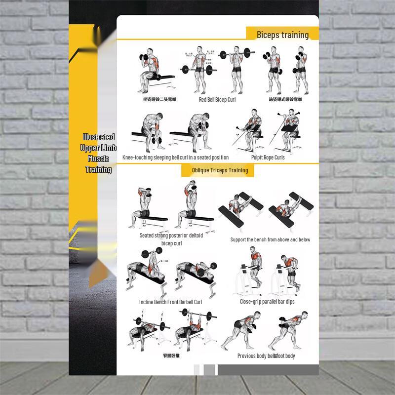 Fitness Training Pose Action Charts (PP Adhesive 40x60cm)