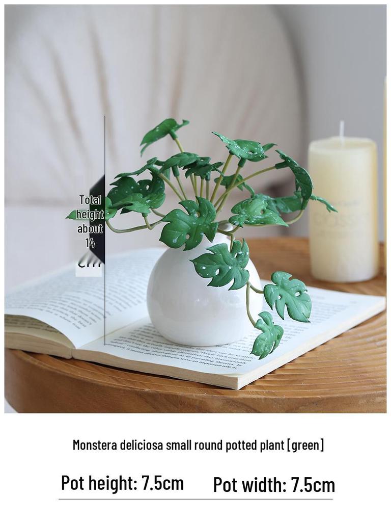 Miniature Succulent Bonsai Desk Ornament: Green Plant Props for Home or Office Decor