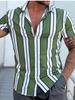 Summer Hawaiian Shirts 3d Printed Striped Sexy Men Women Clothing Men's Vocation Lapel Camisa Fashion Beach Short Sleeve  Blouse