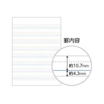 KOKUYO Campus Wide Center English Study 8 Purchase Set of 10 Notes, Ruler, Semi-B5, Tiers, No-30FW8 [Bulk Books]