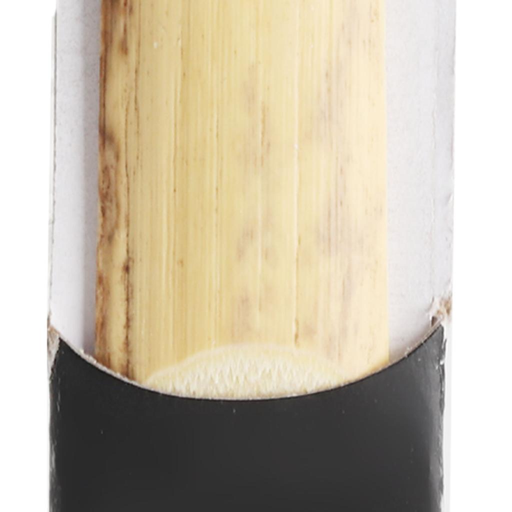 Altsaxophon Blätter Eb Altsaxophon Sax Bambus Blätter Saxophon Blatt Holzblasinstrument