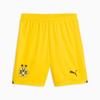 Borussia Dortmund Men's Shorts Polyester Yellow