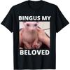 Funny Bingus My Beloved Hairless Sphinx Cat Bingus Cat Meme T-Shirt