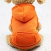 Autumn and winter dog fleece sweater trendy brand two feet sports wind pet dog dog cat clothes outdoor products