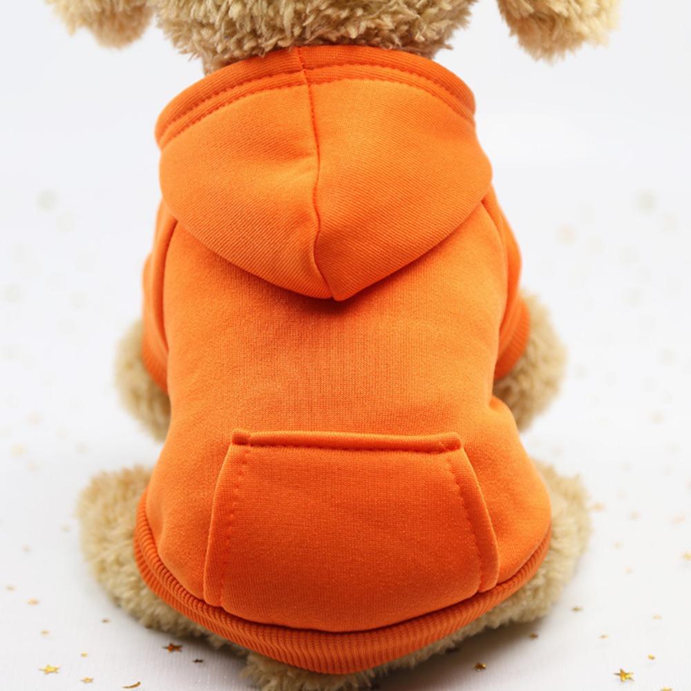 Autumn and winter dog fleece sweater trendy brand two feet sports wind pet dog dog cat clothes outdoor products