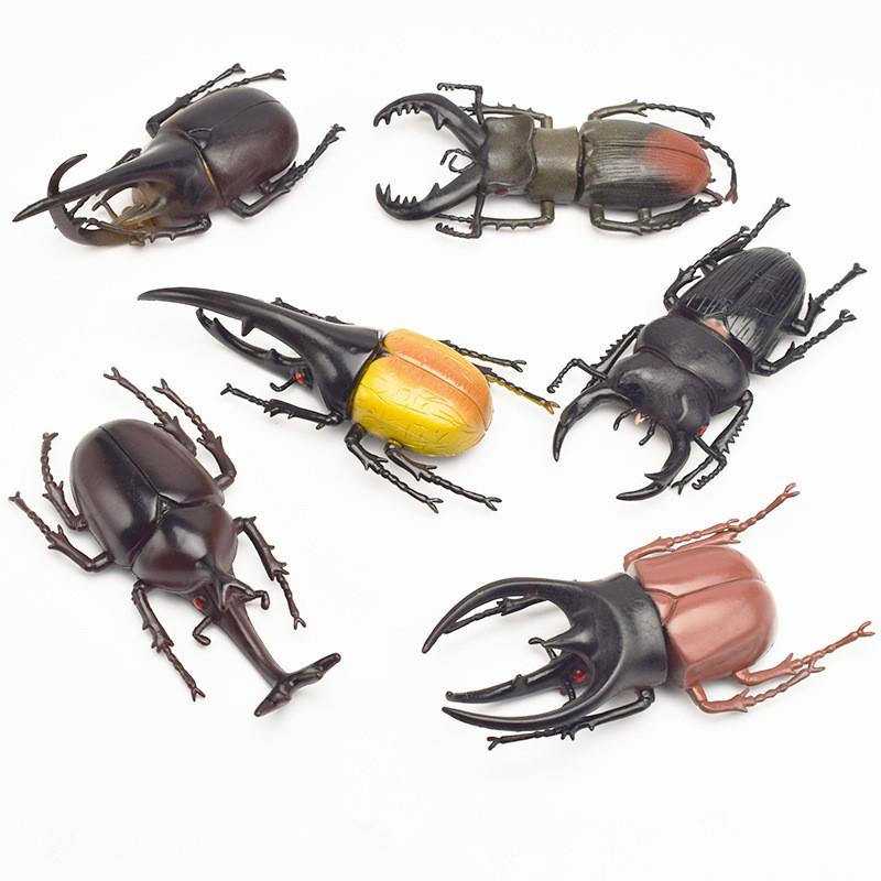 Beetle Simulation Toys Special Lifelike Model Realistic Insect Toy Models Nursery Teaching Aids Joke Toys Novelty Prank Props