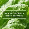 Salad Large Capacity Vegetable Rotating Manual Kitchen for Drying and Other White Spinner, Drainer, Dehydrator, Double-Walled, Detachable, Utensil,