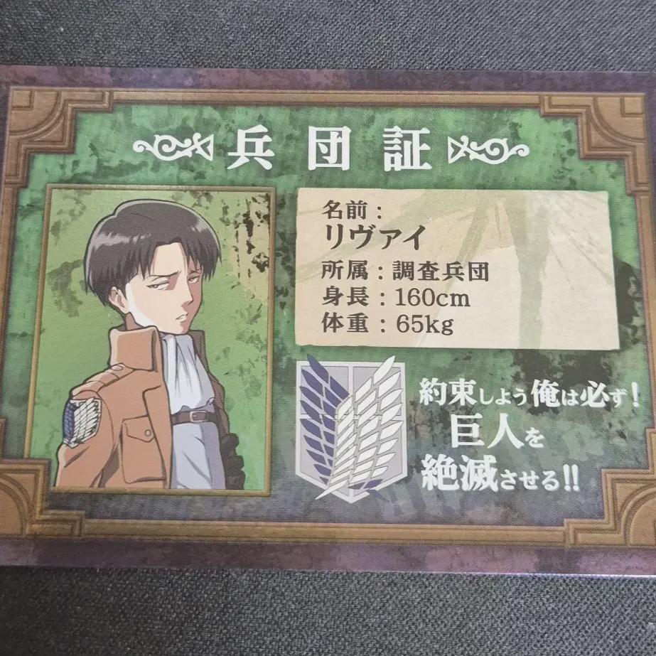 

Attack On Titan Levi Lair Rare Side View Disease
