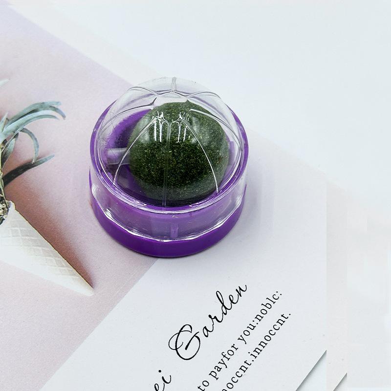 Catnip Matatabi Teasing Ball and Chew Stick for Kitten Play