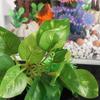 Small Artificial Water Grass Simulation Underwater Plant Aquarium Water Plants  Aquariums Landscape