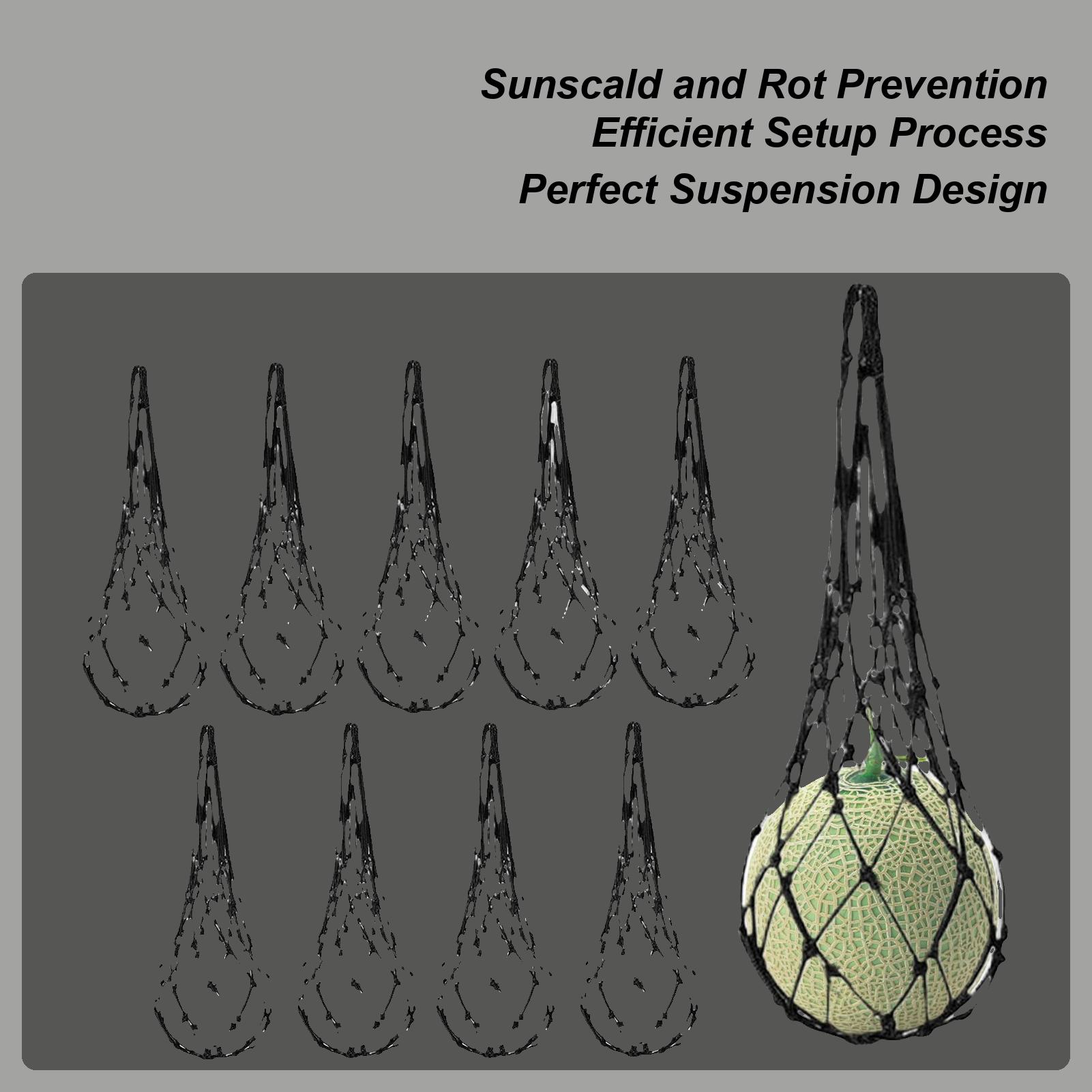 

Watermelon Net For Trellis 10-Piece Fruit Hammock Pumpkin Net For Trellis Growing Vertical Growing Bag Netting For Garden China Mainland