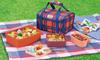 Thermos Family Fresh Lunch Box, Red Check, DJF-4002 RC