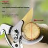 DELIXI ELECTRIC Garden Pruning Shears