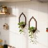 Plant Propagation Station Wall Hanging Wooden Shelf Plant Terrarium for Hydroponics Home Office
