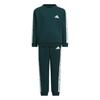 Casual Sportswear Fleece Lined Crew Neck Long Sleeved Sweatshirt With Elastic Cuff And Lace Up Pants 2 Piece Set KS3075