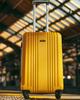 Wings 24" Medium Suitcase Kestrel Yellow