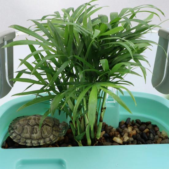 Akvárium pro želvy Akrylové terárium s vyhřívací plošinou Rostliny Plný výhled Vizuálně Habitat pro plazy pro želvy Kraby Raky