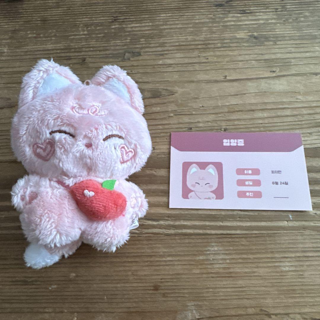 

[USED] ENHYPEN Sunwoo Master Plush Toy 10cm