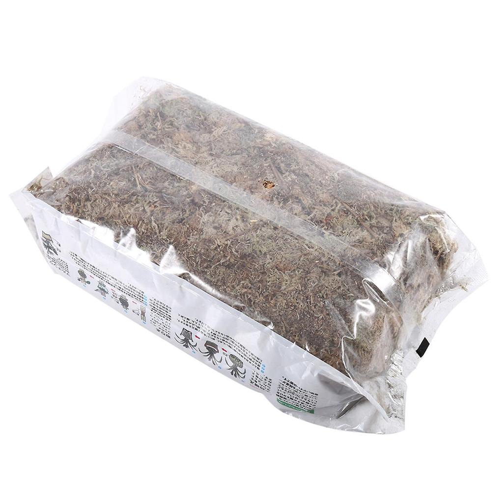 Engrais organique hydratant à base de mousse de sphaigne de jardin 6 L pour orchidée Phalaenopsis