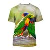 Buntes Niedliches Papagei 3D Gedrucktes T-Shirt Für Männer Kinder Lustiges Tier Muster Kurzarm T-Shirts Outdoor Lässig Street Tees Oberteil