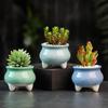 6 Stück/Set Bunte Mini-Blumentöpfe Sukkulenten-Pflanztopf Keramik-Pflanzgefäß Schreibtischschmuck Heimdekor